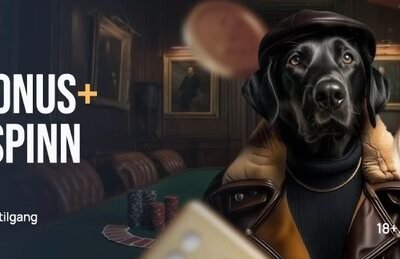 Discover the World of Spindog Casino in the UK Online Gaming Scene