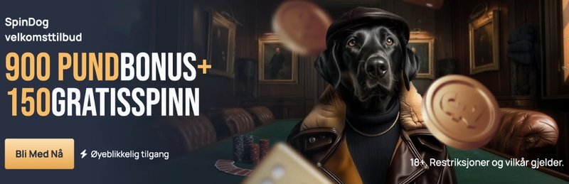 Discover the World of Spindog Casino in the UK Online Gaming Scene